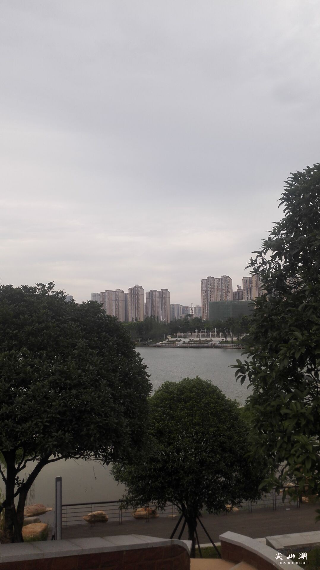 1113.jpg