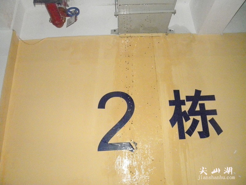 P1011406.JPG