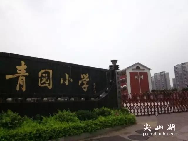 Fz99Ql732Qq9HlQQ.jpg