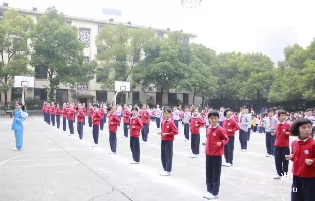 z3TMp674P7TjVfPj.jpg