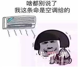 ETgFty6dUt6g3ZG5.jpg