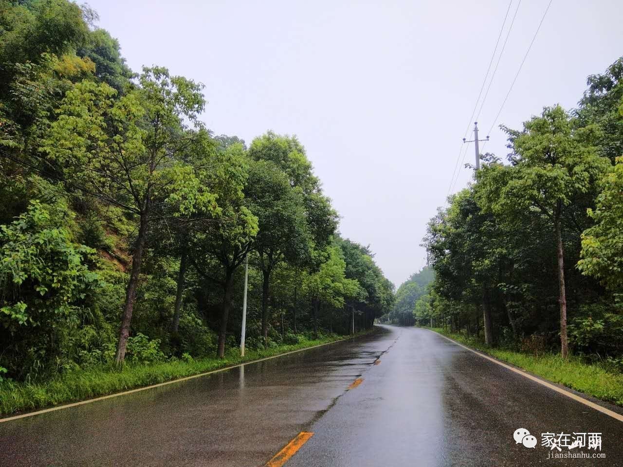WddpHA1uiI18P88y.jpg
