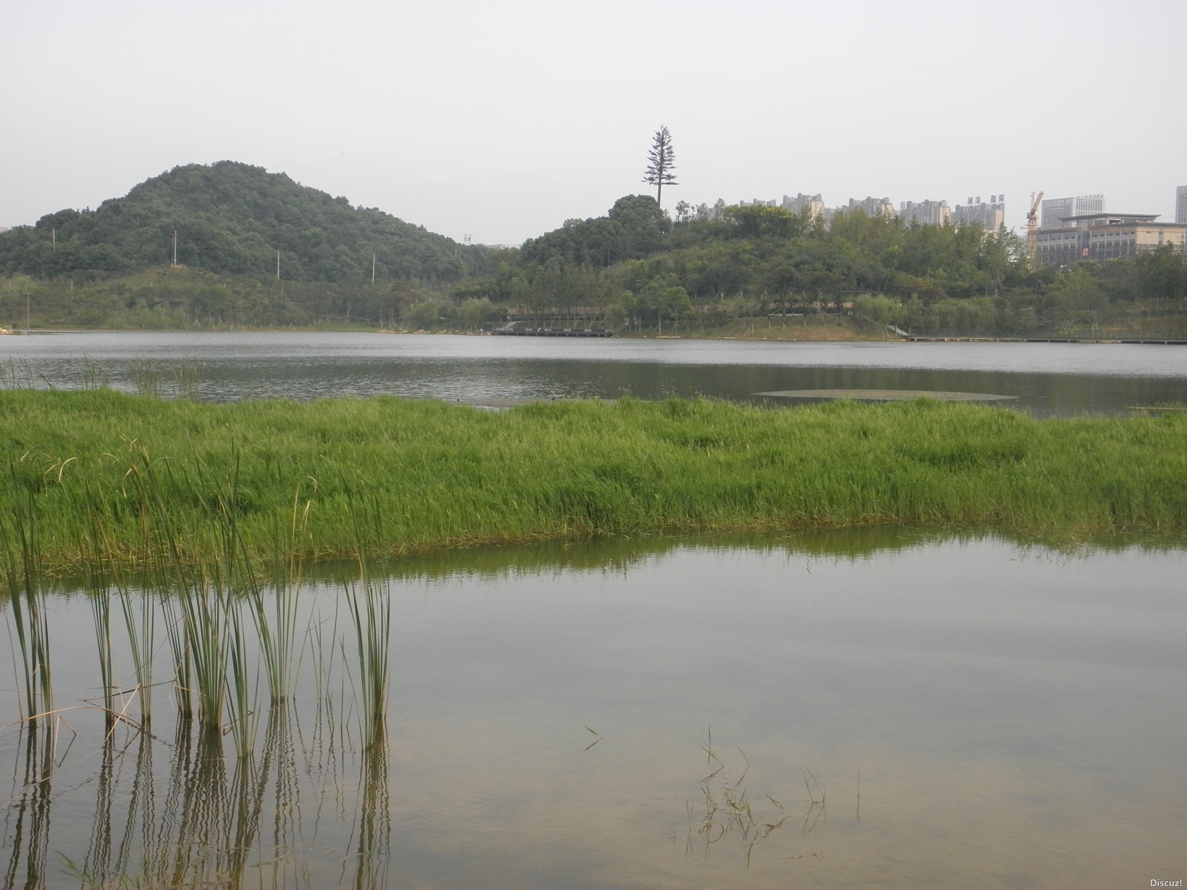 P1010106.JPG
