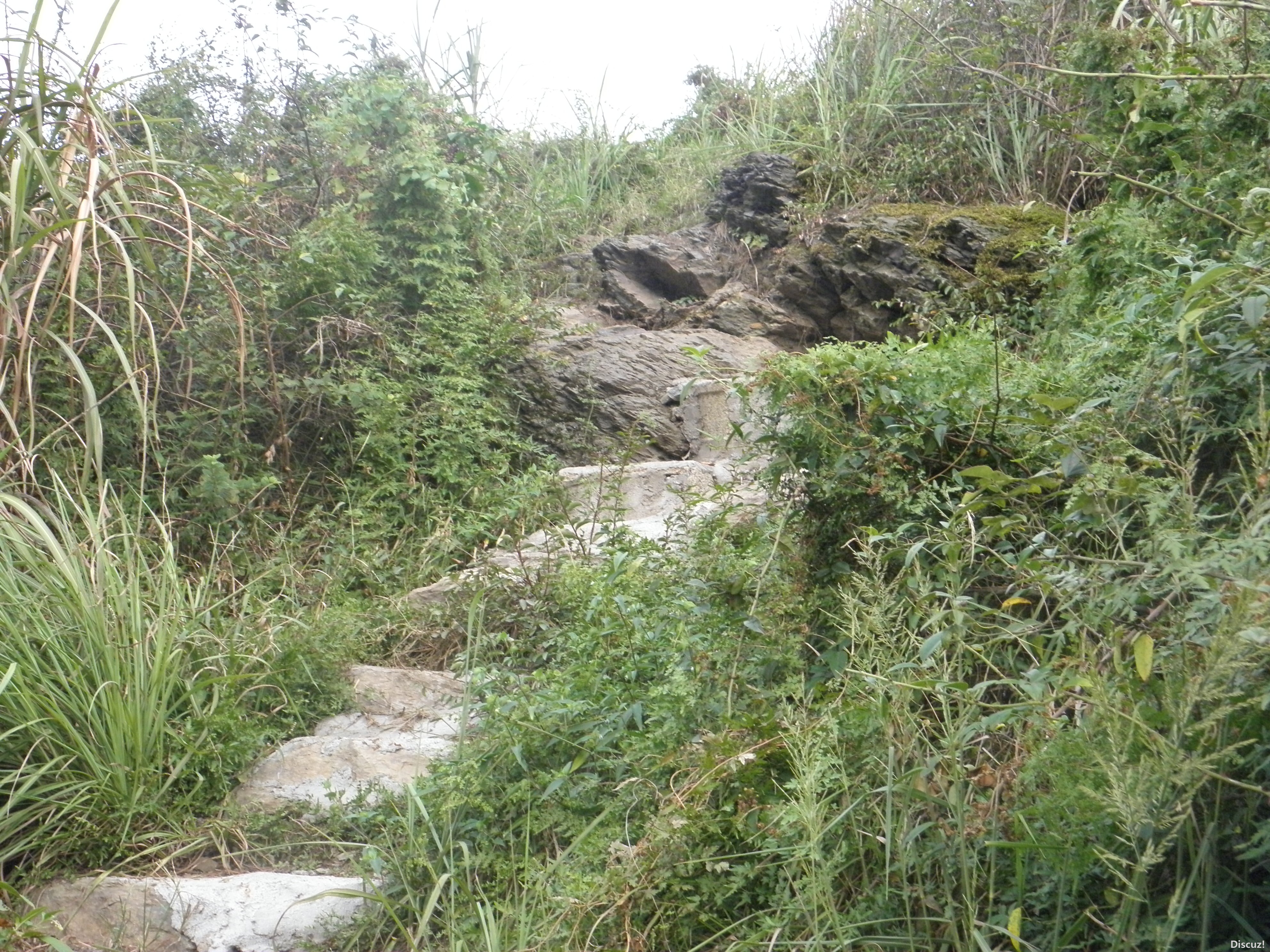 P1010046.JPG