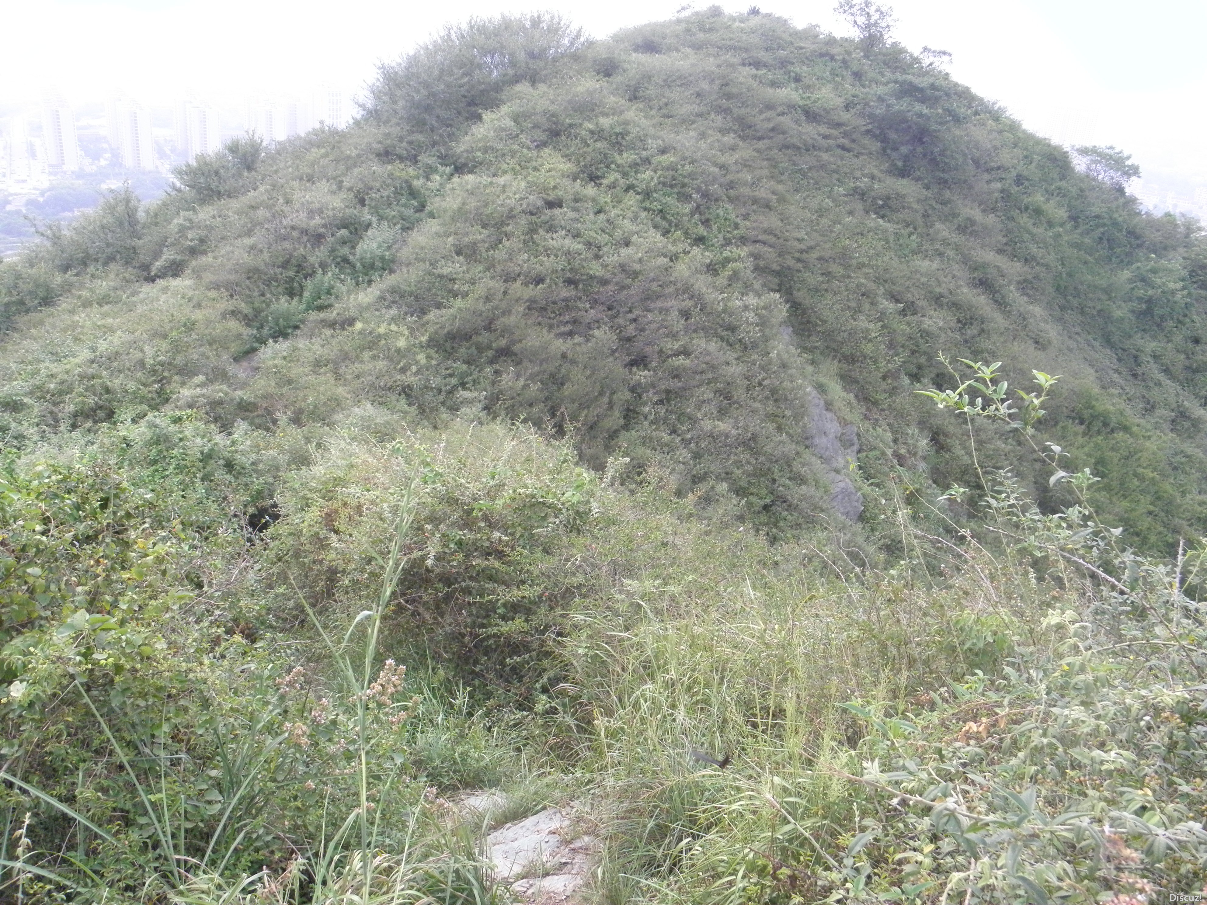 P1010051.JPG