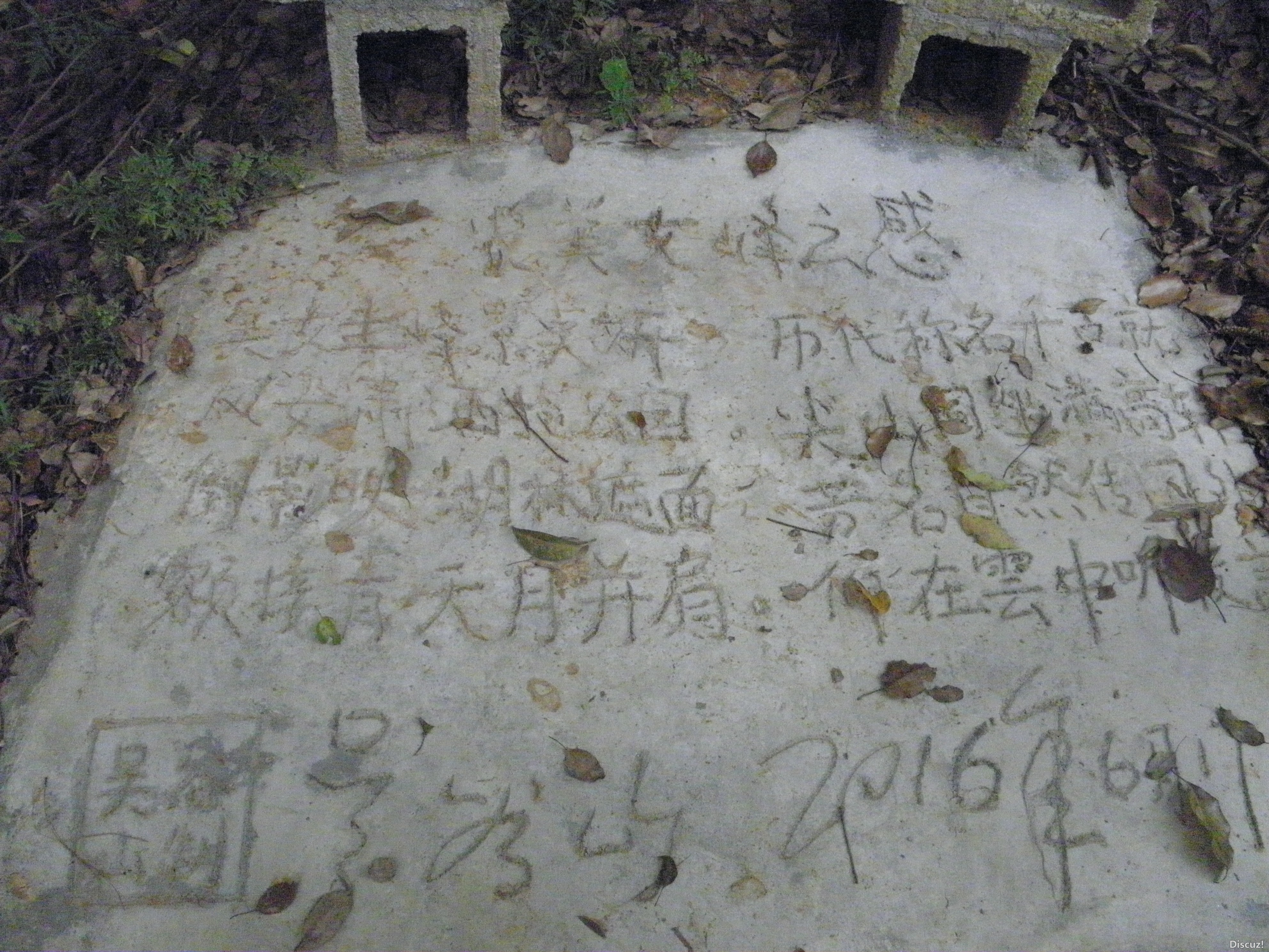 P1010080.JPG