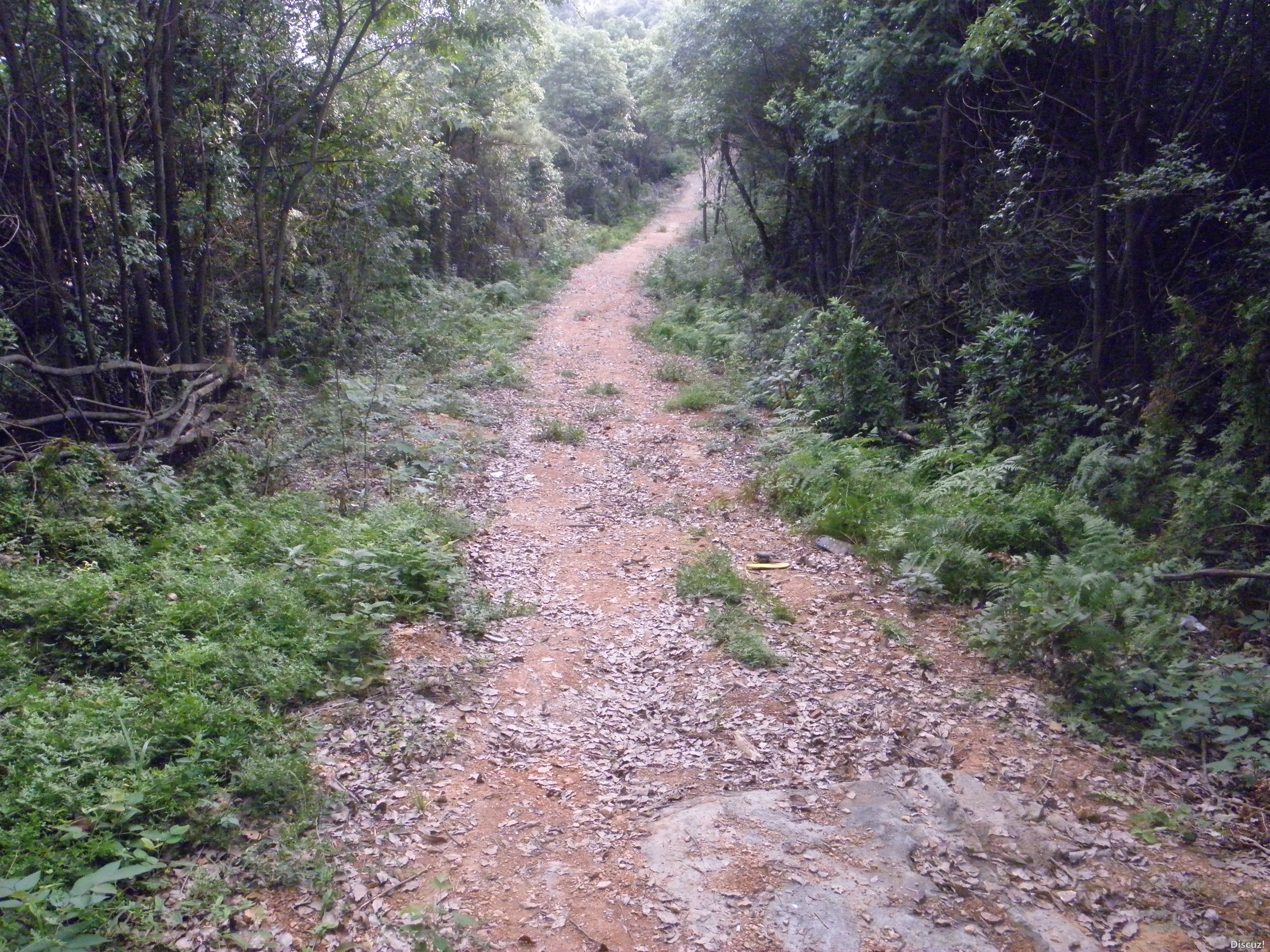 P1010082.JPG